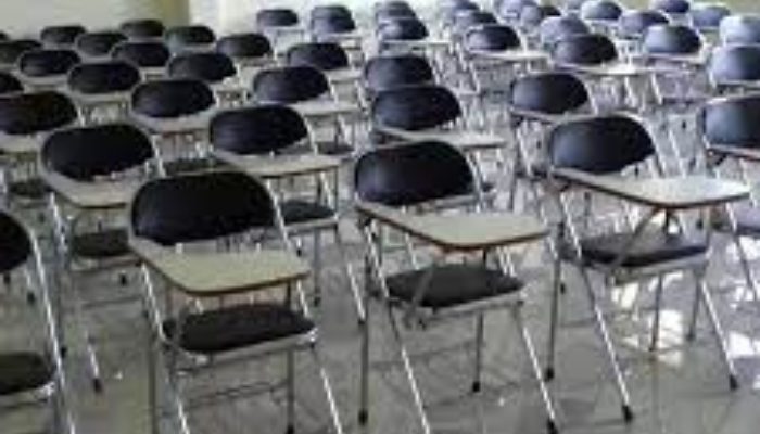 6 Jenis Kursi Futura Beserta Manfaatnya, Nomor 6 Paling Unik