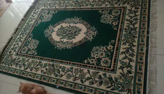 Sewa Karpet Permadani Bogor di RNT Production Berikut Informasinya!