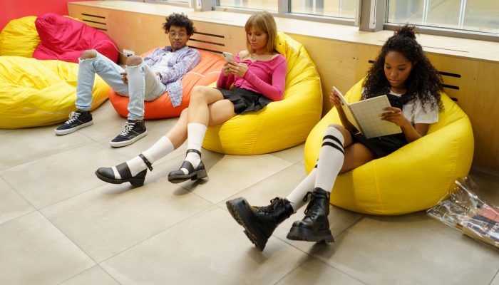 Sewa Bean Bag dan Sofa, Ini Bedanya Kamu Wajib Tahu !