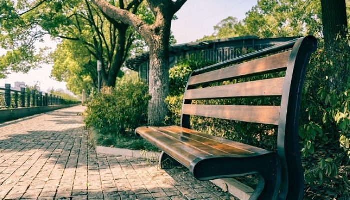 Sewa Bangku Taman? Simak Dulu Cara Memilih yang Tepat