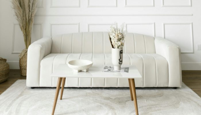 Tips Cari Sofa Terbaik untuk Tinggal Berdua