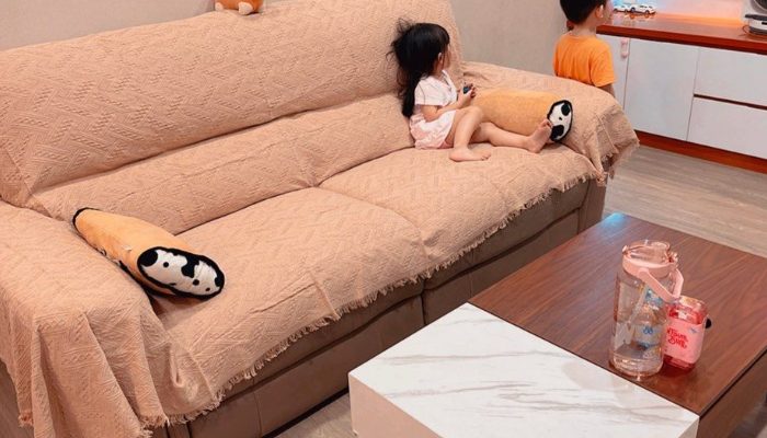 Cara Memilih Cover Sofa Terbaik Cek di Sini
